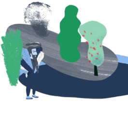 grau blau miau